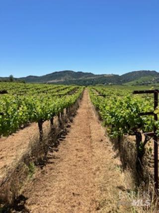 Commercial Acreage, Soda Canyon road, Napa, CA 94558 - 1