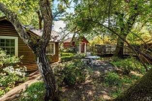 Single Family Residence, Hwy 128 highway, Calistoga, CA 94515 - 58