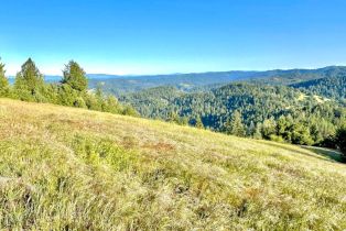 Single Family Residence, Mohrhardt Ridge road, Russian River, CA 95421 - 60
