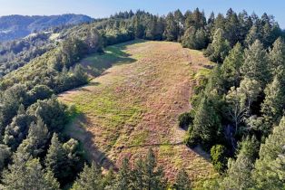 Single Family Residence, Mohrhardt Ridge road, Russian River, CA 95421 - 59
