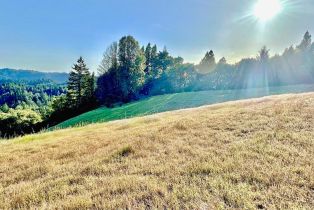 Single Family Residence, Mohrhardt Ridge road, Russian River, CA 95421 - 63