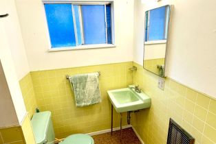 Single Family Residence, Mohrhardt Ridge road, Russian River, CA 95421 - 47