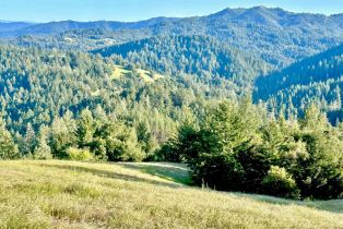Single Family Residence, Mohrhardt Ridge road, Russian River, CA 95421 - 61
