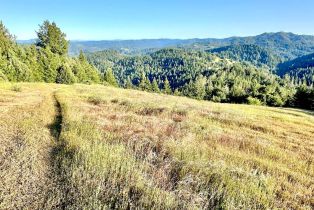 Single Family Residence, Mohrhardt Ridge road, Russian River, CA 95421 - 62