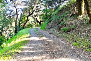 Single Family Residence, Mohrhardt Ridge road, Russian River, CA 95421 - 49