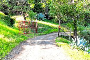 Single Family Residence, Mohrhardt Ridge road, Russian River, CA 95421 - 68