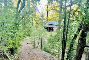 Single Family Residence, Mohrhardt Ridge road, Russian River, CA 95421 - 64