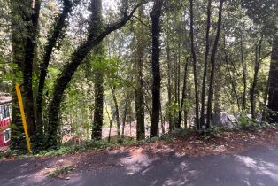 Residential Lot,  Eagle Nest lane, Russian River, CA 95446 - 8