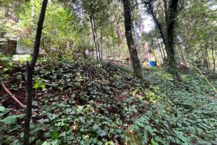 Residential Lot,  Eagle Nest lane, Russian River, CA 95446 - 14