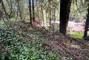 Residential Lot,  Eagle Nest lane, Russian River, CA 95446 - 7
