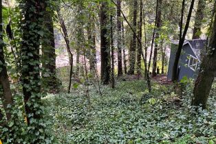Residential Lot,  Eagle Nest lane, Russian River, CA 95446 - 10