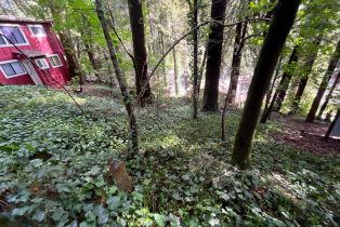 Residential Lot,  Eagle Nest lane, Russian River, CA 95446 - 17