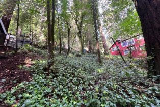 Residential Lot,  Eagle Nest lane, Russian River, CA 95446 - 9