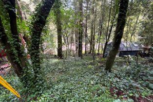 Residential Lot,  Eagle Nest lane, Russian River, CA 95446 - 6
