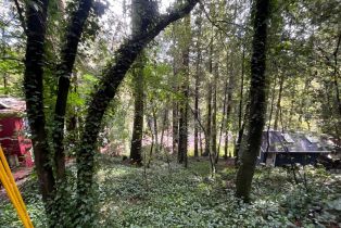 Residential Lot,  Eagle Nest lane, Russian River, CA 95446 - 2
