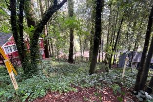 Residential Lot,  Eagle Nest lane, Russian River, CA 95446 - 16
