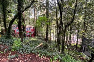 Residential Lot,  Eagle Nest lane, Russian River, CA 95446 - 15