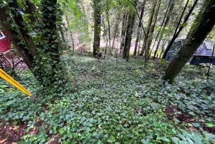 Residential Lot,  Eagle Nest lane, Russian River, CA 95446 - 18