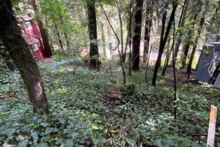 Residential Lot,  Eagle Nest lane, Russian River, CA 95446 - 13