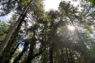 Residential Lot,  Eagle Nest lane, Russian River, CA 95446 - 11