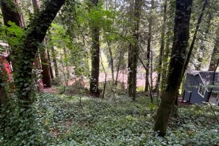 Residential Lot,  Eagle Nest lane, Russian River, CA 95446 - 19