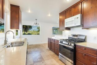 Single Family Residence, Todd road, Sebastopol, CA 95472 - 7