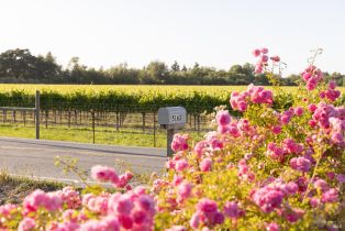 Single Family Residence, Todd road, Sebastopol, CA 95472 - 54