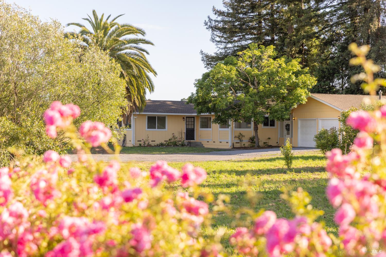 Single Family Residence, Todd road, Sebastopol, CA 95472 - 1