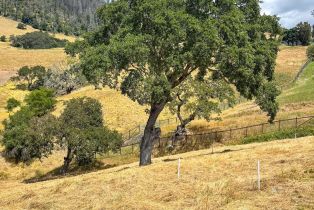 Residential Lot,  Futura way, Santa Rosa, CA 95409 - 20