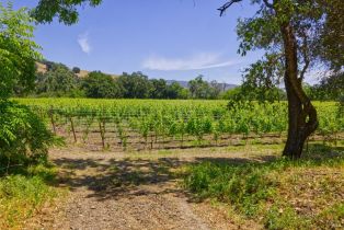 Agriculture,  Saint Helena highway, Napa, CA 94558 - 19