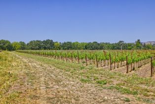 Agriculture,  Saint Helena highway, Napa, CA 94558 - 9