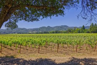Agriculture,  Saint Helena highway, Napa, CA 94558 - 11
