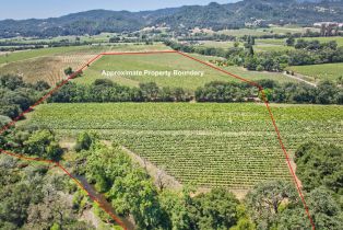 Agriculture,  Saint Helena highway, Napa, CA 94558 - 25