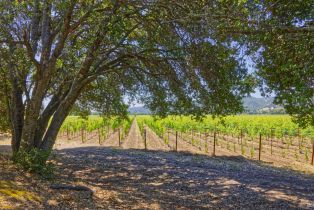 Agriculture,  Saint Helena highway, Napa, CA 94558 - 13