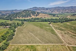 Agriculture,  Saint Helena highway, Napa, CA 94558 - 4