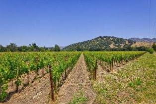 Agriculture,  Saint Helena highway, Napa, CA 94558 - 10