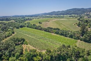 Agriculture,  Saint Helena highway, Napa, CA 94558 - 23