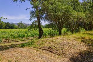 Agriculture,  Saint Helena highway, Napa, CA 94558 - 18