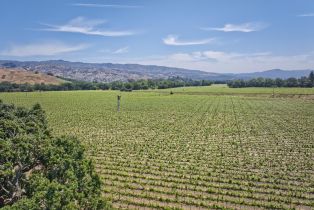 Agriculture,  Saint Helena highway, Napa, CA 94558 - 6