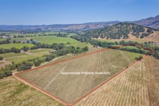Agriculture,  Saint Helena highway, Napa, CA 94558 - 2