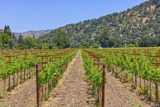 Agriculture,  Saint Helena highway, Napa, CA 94558 - 29