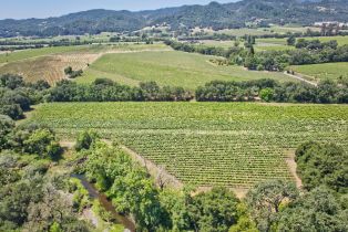 Agriculture,  Saint Helena highway, Napa, CA 94558 - 24