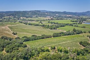 Agriculture,  Saint Helena highway, Napa, CA 94558 - 26