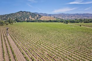 Agriculture,  Saint Helena highway, Napa, CA 94558 - 7