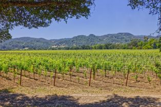 Agriculture,  Saint Helena highway, Napa, CA 94558 - 17