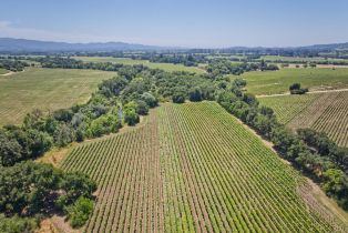 Agriculture,  Saint Helena highway, Napa, CA 94558 - 22