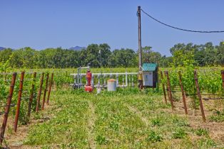 Agriculture,  Saint Helena highway, Napa, CA 94558 - 27