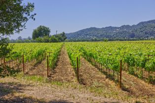 Agriculture,  Saint Helena highway, Napa, CA 94558 - 15