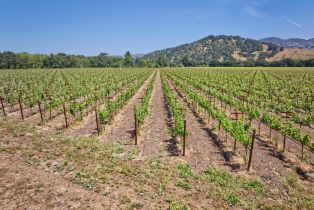 Agriculture,  Saint Helena highway, Napa, CA 94558 - 3