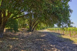 Agriculture,  Saint Helena highway, Napa, CA 94558 - 12
